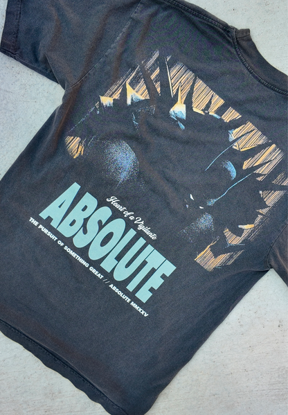 Absolute Batman - Box