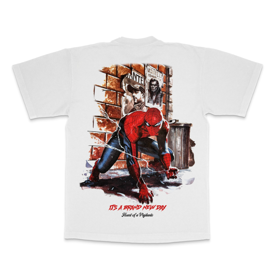 Spiderman - Brand New Day